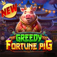 Greedy Fortune Pig
