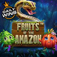 Fruits of the Amazon

