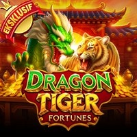 Dragon Tiger Fortunes
